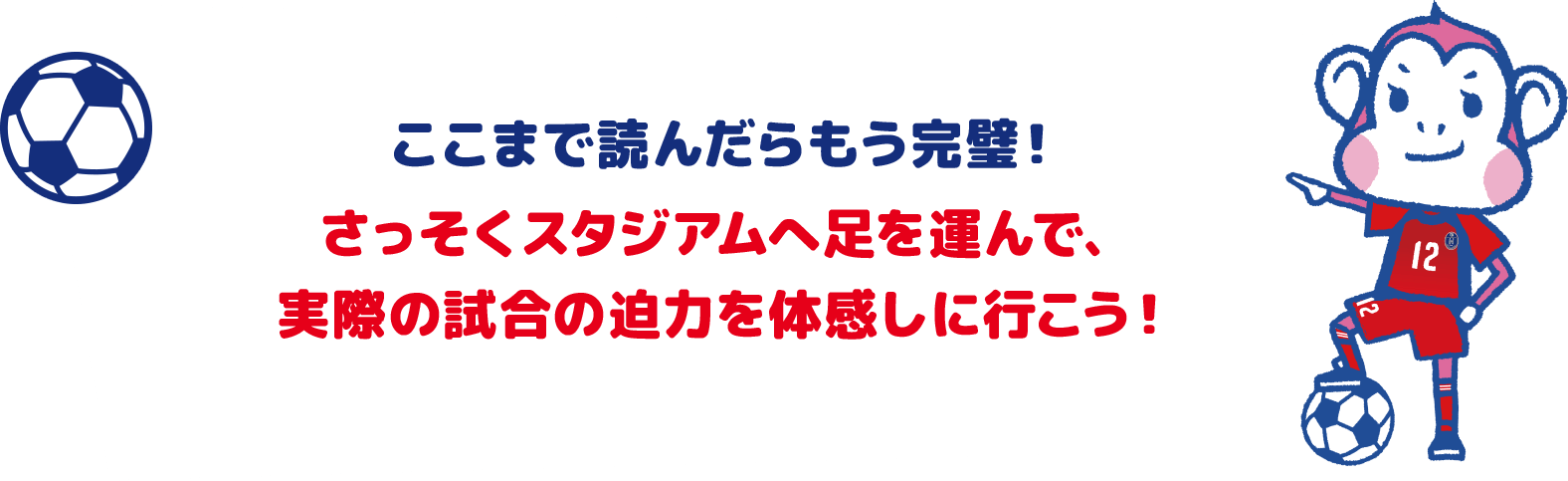 ここまで読んだらもう完璧! さっそくスタジアムへ足を運んで、実際の試合の迫力を体感しに行こう!